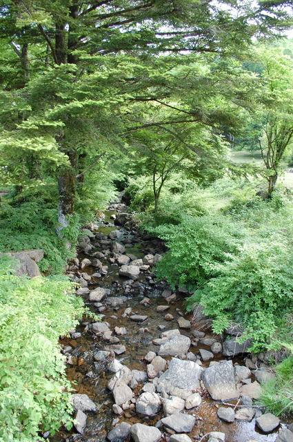 DSC_0159.JPG