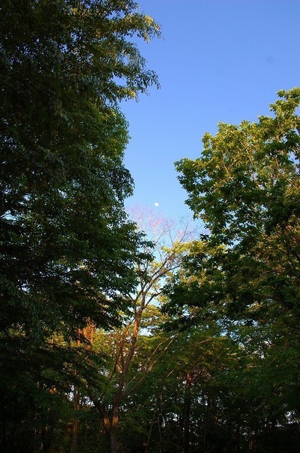 DSC_0169.JPG