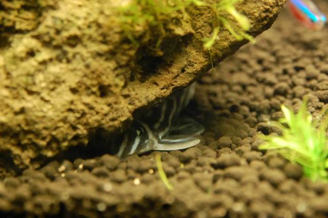 DSC_0355.jpg