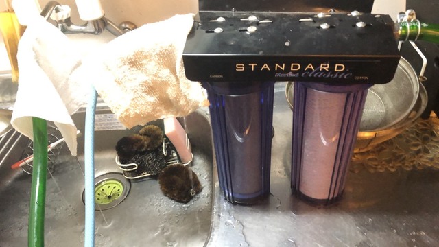 S__9822242.jpg