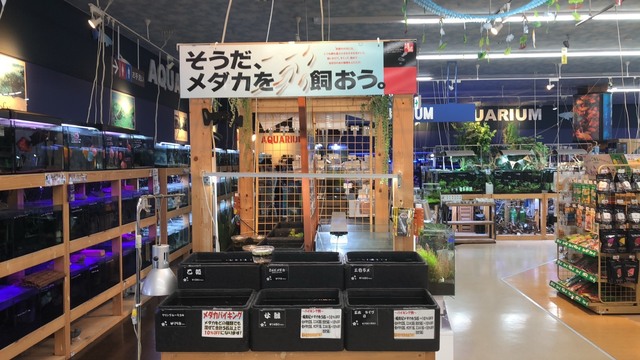 S__9953305.jpg