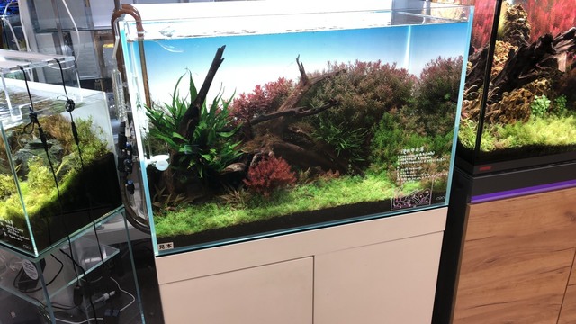 S__9953313.jpg