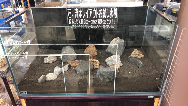 S__9953315.jpg