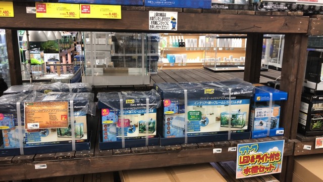 S__9953317.jpg