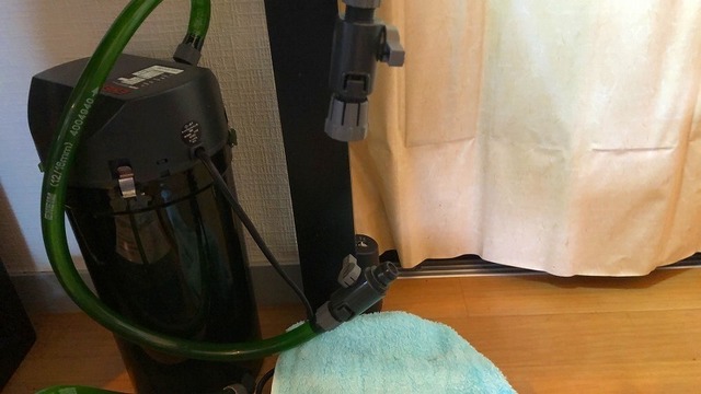 S__9961482.jpg
