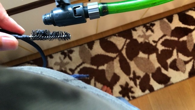 S__9961493.jpg
